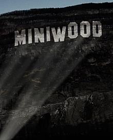 MINIWOOD Projektion 